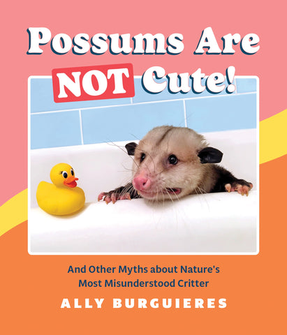 Possums Are Not Cute! Book