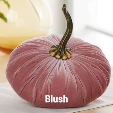 XL Velvet Pumpkin