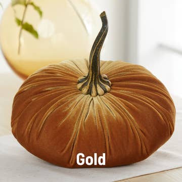 XL Velvet Pumpkin