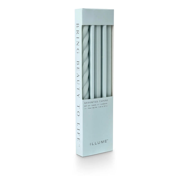Assorted Candle Tapers - Sea Salt Sage
