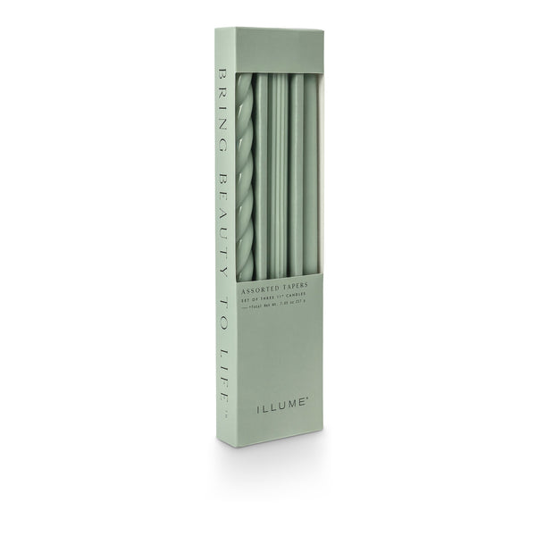 Assorted Candle Tapers - Hinoki Sage