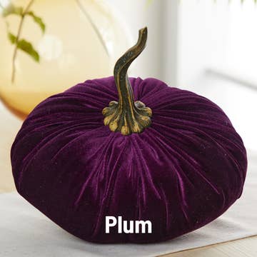 XL Velvet Pumpkin