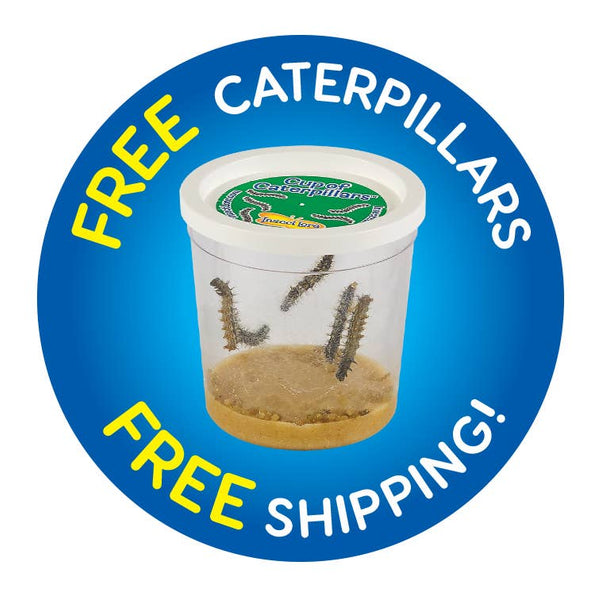 Butterfly Farm™  Growing Kit with PREPAID Voucher