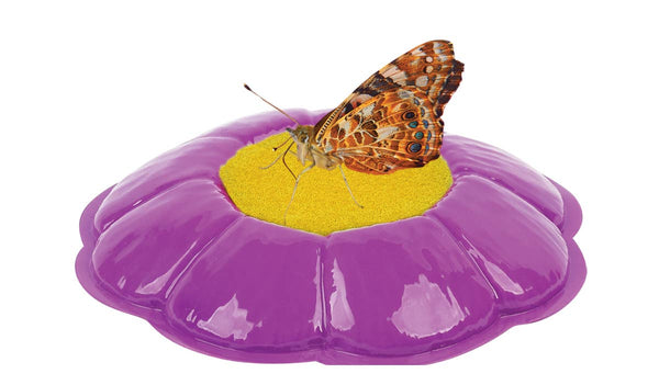 Butterfly Farm™  Growing Kit with PREPAID Voucher