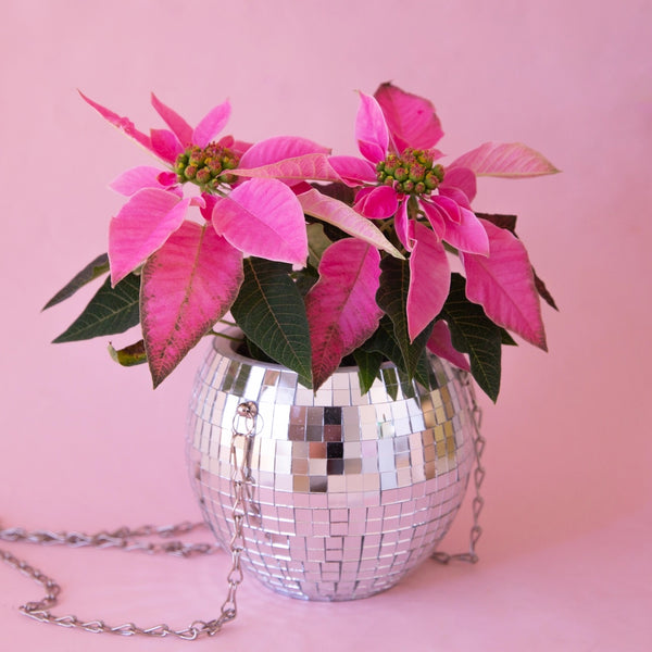 Disco Ball 6" Hanging Planter