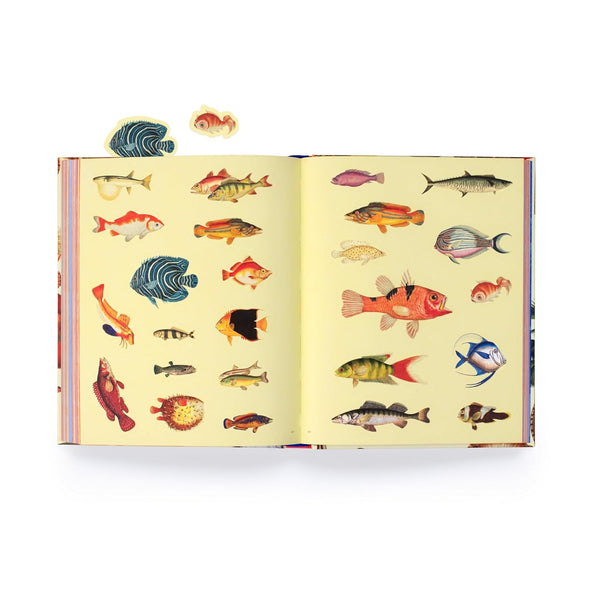 Extraordinary Things Sticker Book