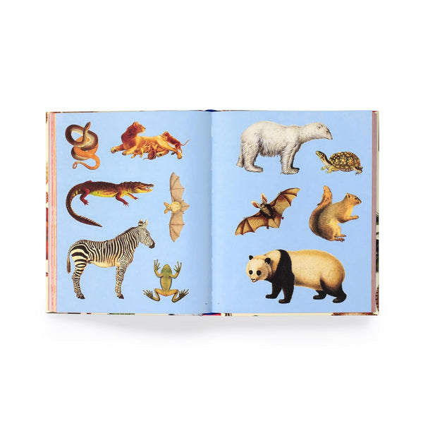 Extraordinary Things Sticker Book