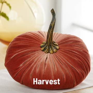 XL Velvet Pumpkin