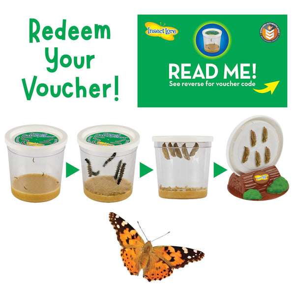 Butterfly Farm™  Growing Kit with PREPAID Voucher