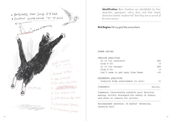 Dumb Birds Field Guide To The Worst Birds Ever Book