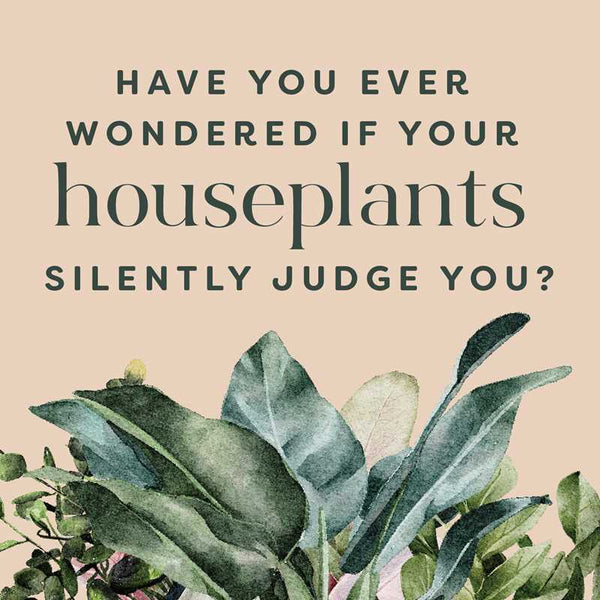 Houseplants and Their Fucked-Up Thoughts Book