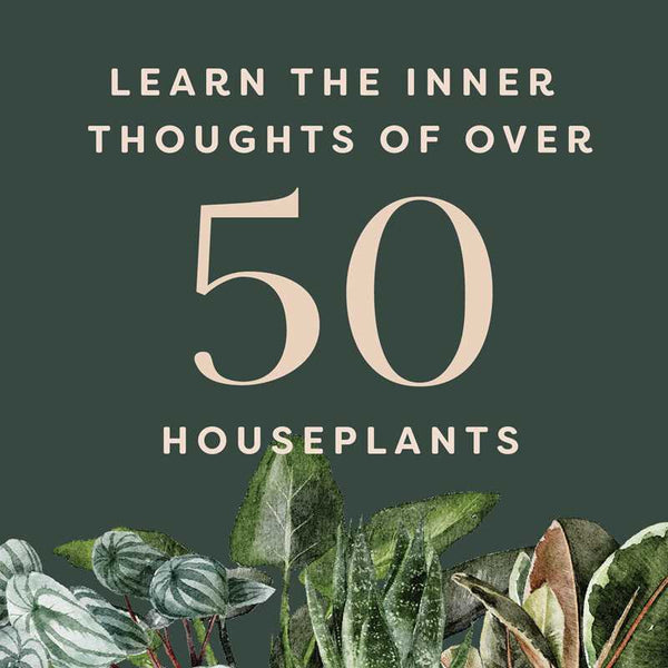Houseplants and Their Fucked-Up Thoughts Book