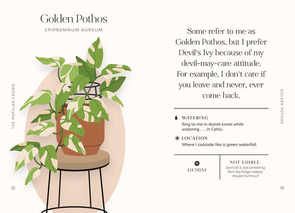 Houseplants and Their Fucked-Up Thoughts Book