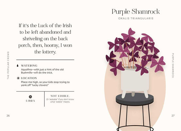 Houseplants and Their Fucked-Up Thoughts Book