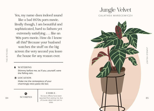 Houseplants and Their Fucked-Up Thoughts Book