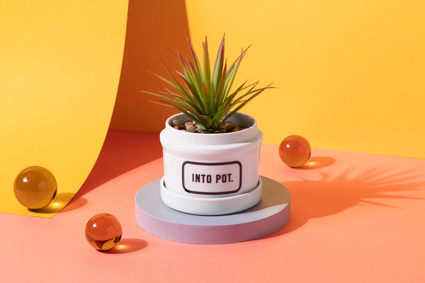 Into Pot Planter W/ Drip Tray