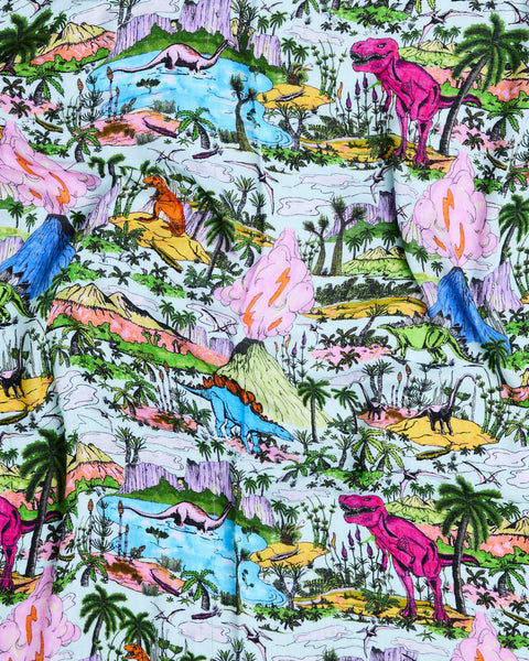 Jurassic Bamboo Swaddle Blanket