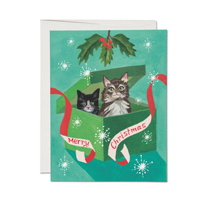 Merry Christmas Kittens Holiday Greeting Card