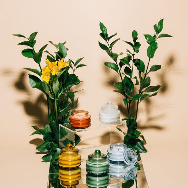 Beam 3 oz Candle - Cactus Flower