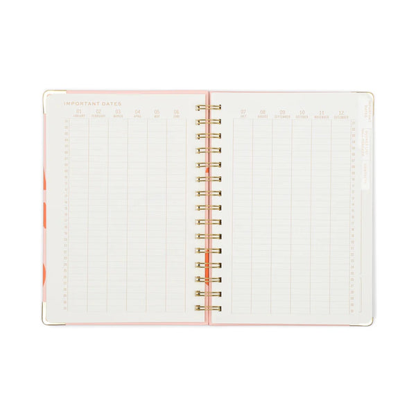 Plans Undated 13 Month Perpetual Planner