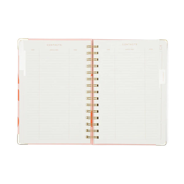 Plans Undated 13 Month Perpetual Planner