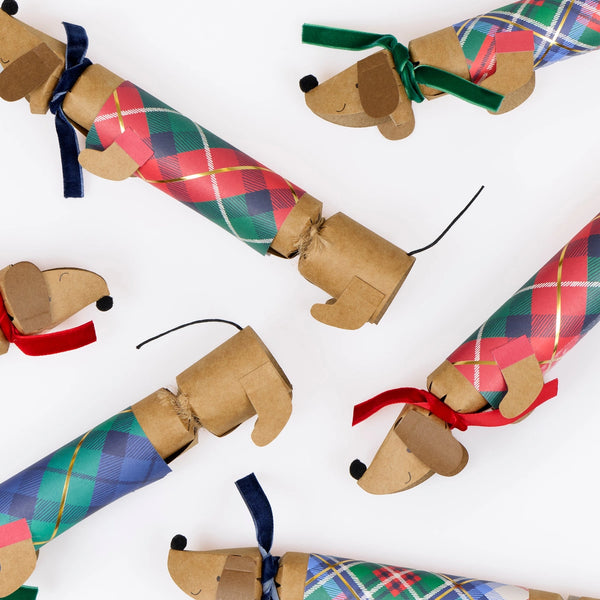 Tartan Sausage Dog Crackers
