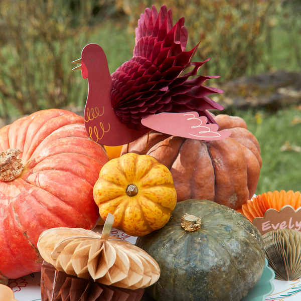 Meri Meri Mixed Thanksgiving Honeycomb Decorations