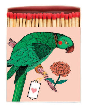 Luxury Boxed Matches - Parrot